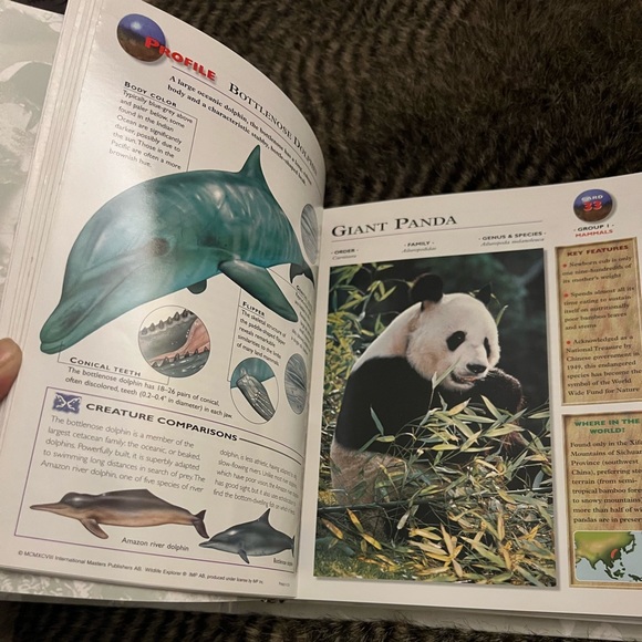 Wildlife Explorer 3 Ring Binder - Picture 6 of 9